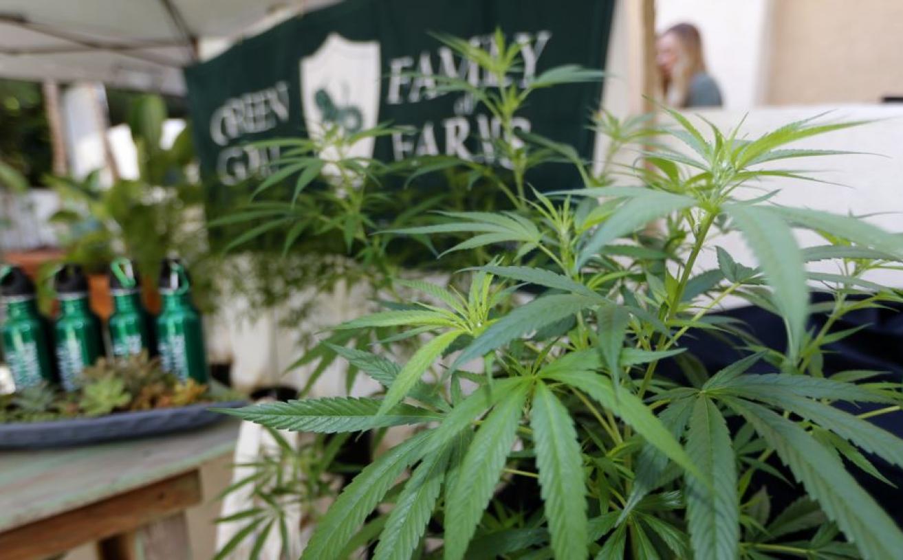 According To Poll, 64% of Americans Support Legalization of Marijuana